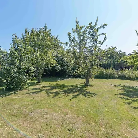 Ferienhaushalfte Seeblick Rosalie Tatil Evi
